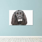 Studio-Porträt von Cocker spaniel Leinwanddruck (Insitu (Holzboden))
