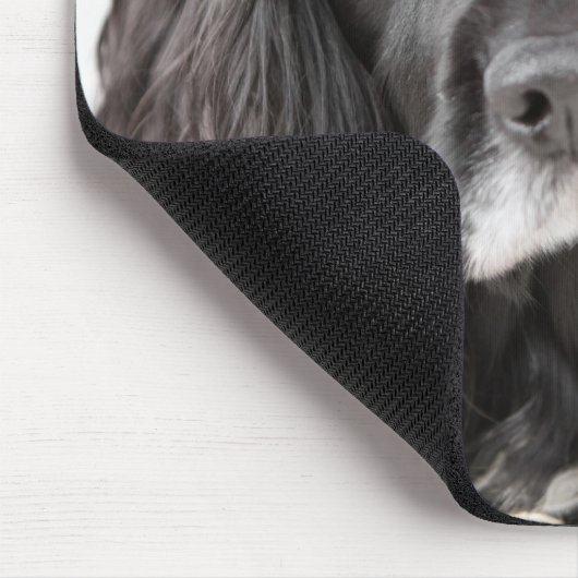 Studio-Porträt von Cocker spaniel Mousepad (Ecke)