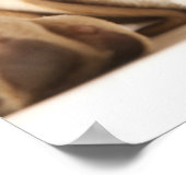 Studio-Porträt von Yellow Labrador Retriever Poster (Ecke)