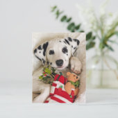 Studio Postkarte (Stehend Vorderseite)