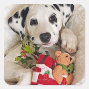 Studio Quadratischer Aufkleber