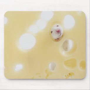 Studio schoss von der weißen Maus, die durch Loch Mousepad