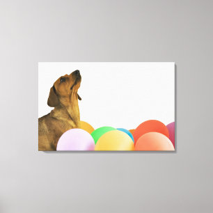 Studio-Schuss Leinwanddruck