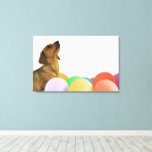 Studio Shot Leinwanddruck (Insitu (Holzboden))