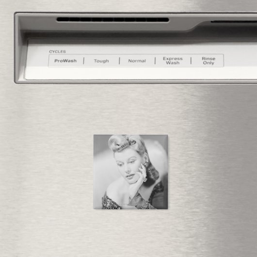 Studio Shot Magnet (In Situ (Geschirrspüler))