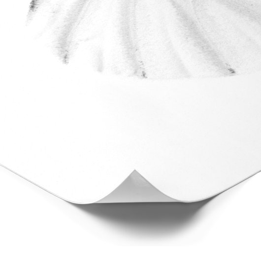 Studio shot of sharp-veined white butterfly poster (Ecke)