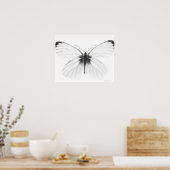 Studio shot of sharp-veined white butterfly poster (Küche)
