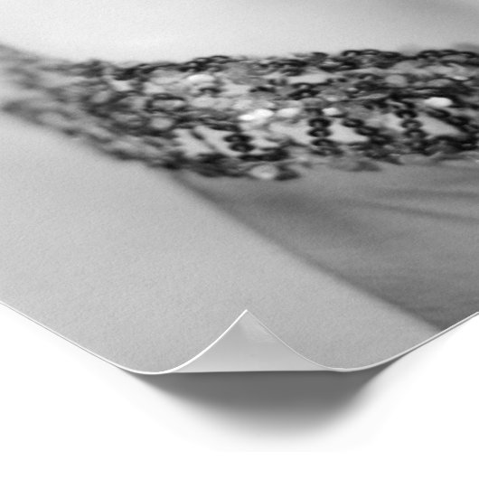 Studio Shot Poster (Ecke)