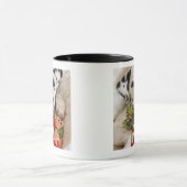 Studio Tasse (Zentrum)