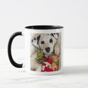 Studio Tasse