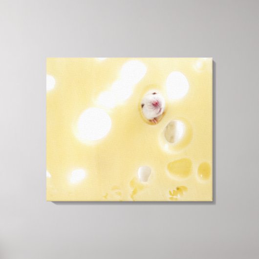 Studioaufnahme mit weißer Maus durch Loch Leinwanddruck (Vorderseite)