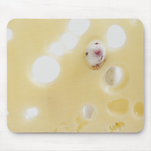 Studioaufnahme mit weißer Maus durch Loch Mousepad (Vorne)
