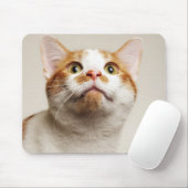 Studioaufnahme Mousepad (Mit Mouse)