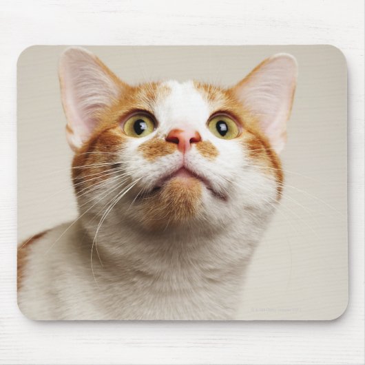 Studioaufnahme Mousepad (Vorne)