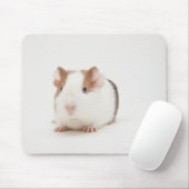 Studioaufnahme von Guinea Pig Mousepad (Mit Mouse)