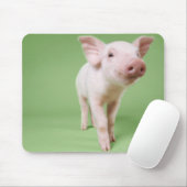 Studioausschnitt aus einem Stehenden Pigment Mousepad (Mit Mouse)