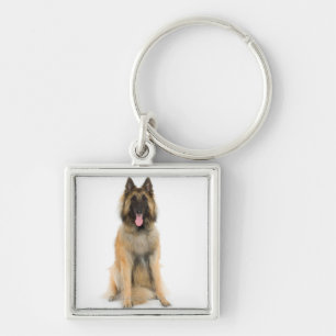 Studioporträt des belgischen Schäferhundes Schlüsselanhänger