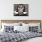 Studioporträt mit Schokoladenlabrador Leinwanddruck (Insitu (Schlafzimmer))