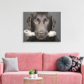 Studioporträt mit Schokoladenlabrador Leinwanddruck (Insitu (Wohnzimmer))