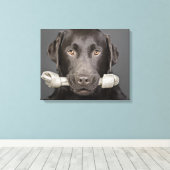 Studioporträt mit Schokoladenlabrador Leinwanddruck (Insitu (Holzboden))