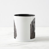 Studioporträt von cocker spaniel tasse (Zentrum)