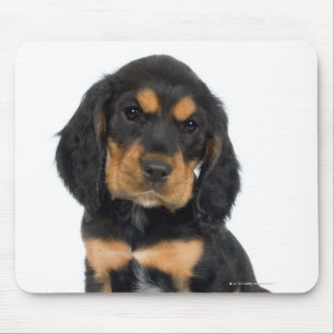 Studioporträt von Rottweiler Welpen Mousepad