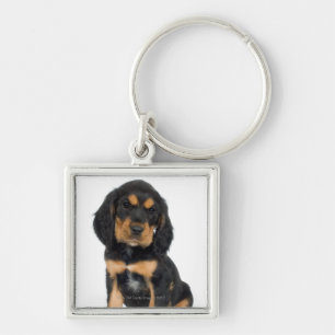 Studioporträt von Rottweiler Welpen Schlüsselanhänger