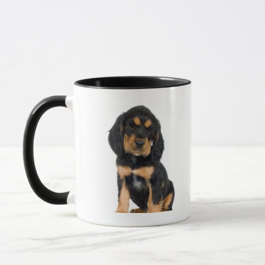 Studioporträt von Rottweiler Welpen Tasse (Links)