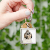 Studioporträt von Shih Tzu Schlüsselanhänger (Hand)