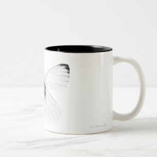 Studioschuß des scharf-veined weißen zweifarbige tasse
