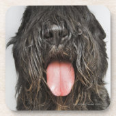 Studioschuß Untersetzer (Vorderseite)