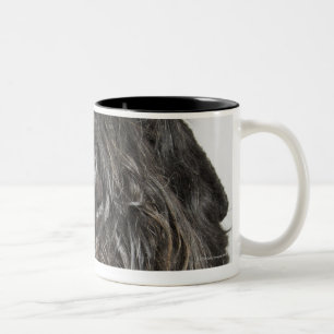 Studioschuß Zweifarbige Tasse