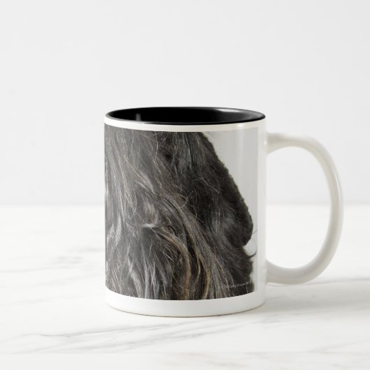 Studioschuß Zweifarbige Tasse (Rechts)