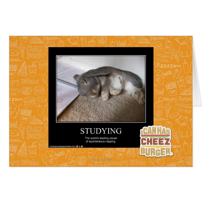 Studium (Vorderseite (Horizontal))