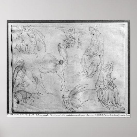 Studium des Vallardi-Albums Poster (Vorne)