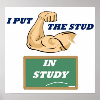 Studium Poster