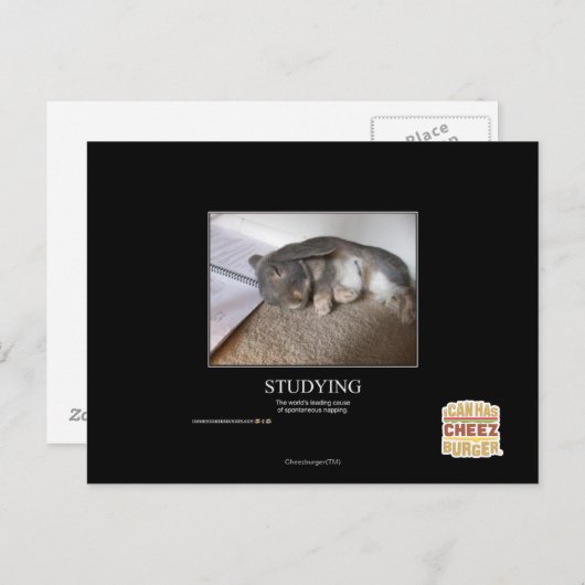 Studium Postkarte (Vorne/Hinten)