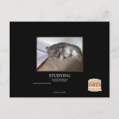 Studium Postkarte (Vorderseite)