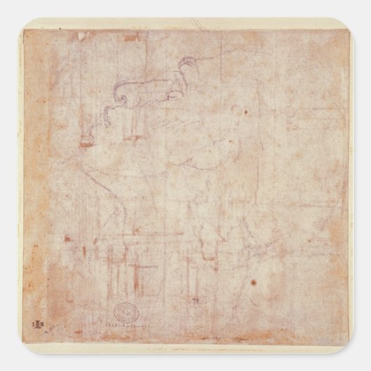 Study of a Head, 1525-26 Quadratischer Aufkleber (Vorderseite)