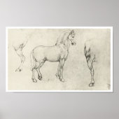 Study of a Horse and It's Hindquarters, Da Vinci Poster (Vorne)