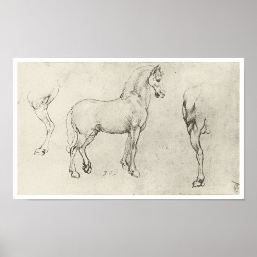 Study of a Horse and It's Hindquarters, Da Vinci Poster (Vorne)