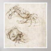 Study of Crab, Leonardo da Vinci Poster (Vorne)