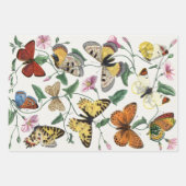 Study of diurnal butterflies by Paul Gervais Geschenkpapier Set (Vorderseite 3)
