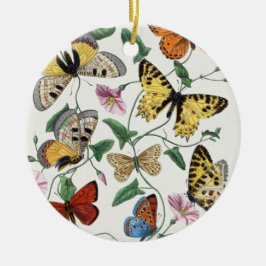 Study of diurnal butterflies by Paul Gervais Keramik Ornament