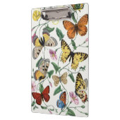 Study of diurnal butterflies by Paul Gervais Klemmbrett (Links)