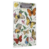 Study of diurnal butterflies by Paul Gervais Klemmbrett (Rechts)