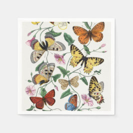 Study of diurnal butterflies by Paul Gervais Serviette