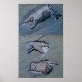 Study of the Hands of a Man Poster (Vorne)