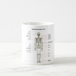 StudyThem entbeint… Kaffeetasse