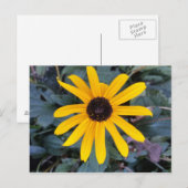 Stufe 1 - Erziehungsbrainfart Postkarte (Vorne/Hinten)